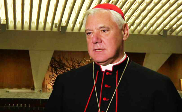 Kardinal Gerhard Müller advarer mod et muligt skisma