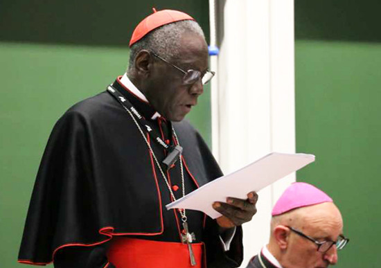 Kardinal Sarah udfordrer Vatikanet med et udspil om liturgien