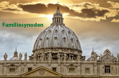 Katolske familieorganisationer om Synodens midtvejsrapport: Et forræderi