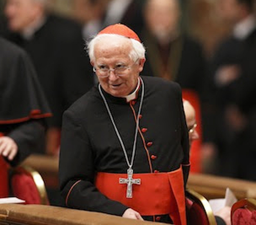 Spansk kardinal under anklage for ”hate speech” frikendt i retten
