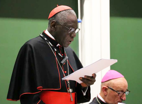 Kardinal Sarah udfordrer Vatikanet med et udspil om liturgien