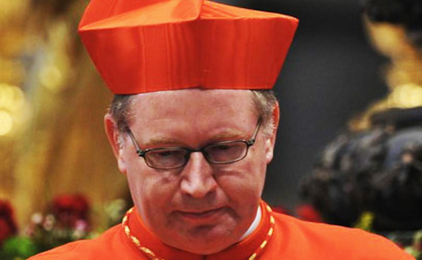 Kardinal Eijk om den aktuelle krise i Kirken