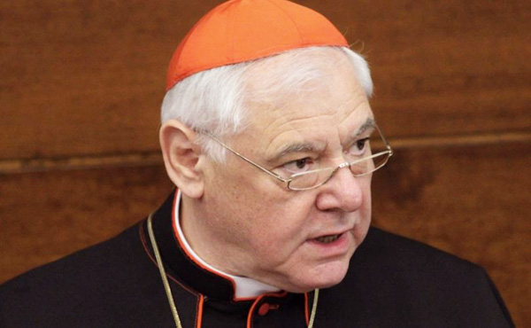 Kardinal Müller appellerer til pave Frans om at gribe ind over for Kirken i Tyskland