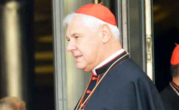 Kardinal Müller: USA’s valg er afgørende for, om demokrati eller diktatur skal styre verden